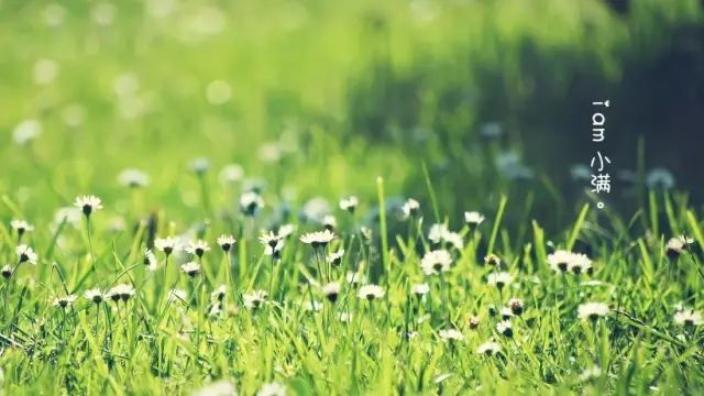 1526868295766223.jpg 5.jpg